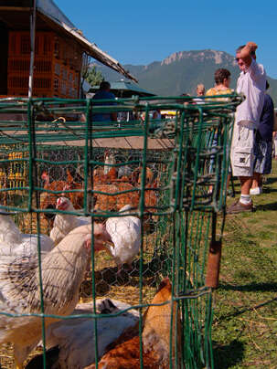 798ème Foire aux dindes de Lagrand