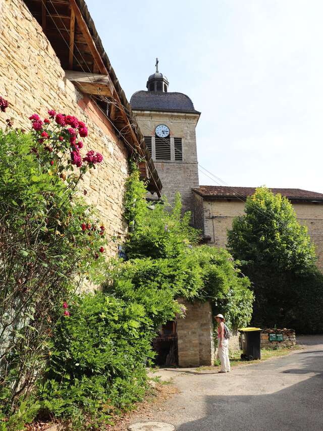 Balade découverte, Journans village de vignerons