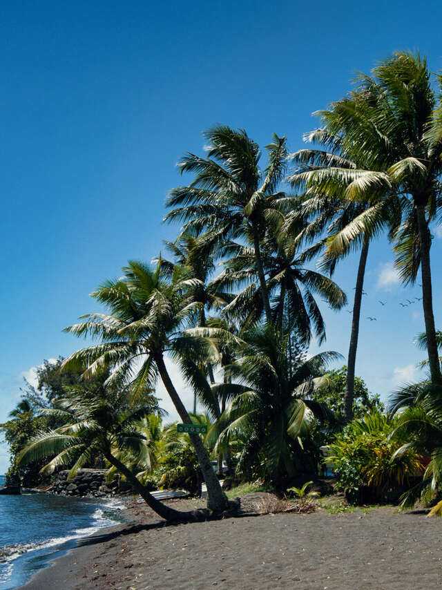 Pointe De Tautira