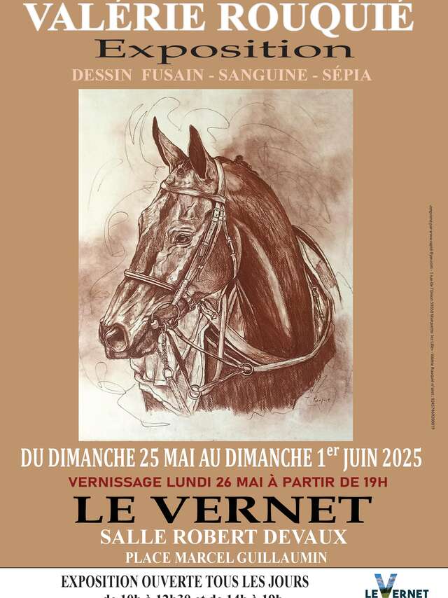 Exposition Valérie Rouquié