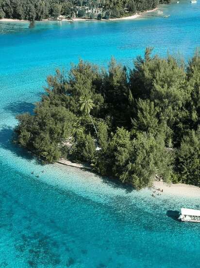 Moorea Mahana Tours -  Sortie Baleines