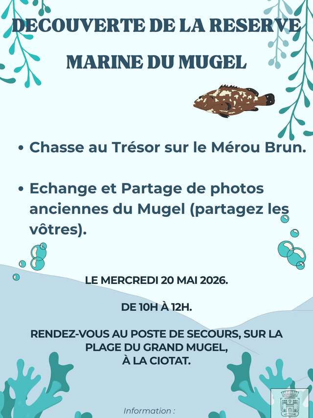 Chasse au trésor sur le mérou brun