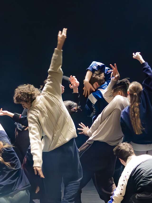 In de hersens' Shechter II - Festival Vaison Danses