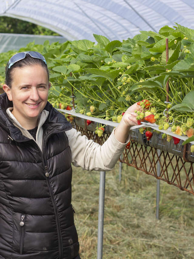 G.I.E. des producteurs de fruits rouges des Monts du Velay