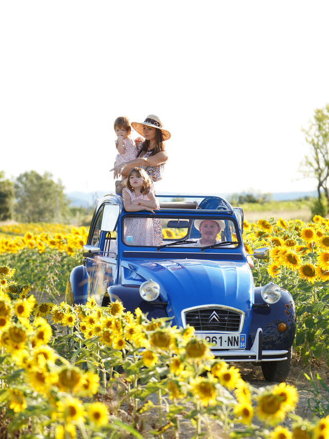Oh my Deuche, 2cv rental - Balades en Provence