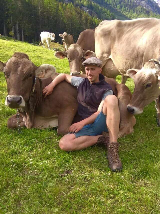 Balade pédagogique au milieu des vaches - Evolution 2