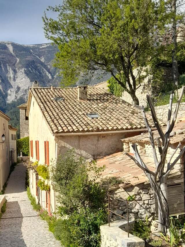 Edy Boucher - L'Arbre en Scène, sculpteur sur bois