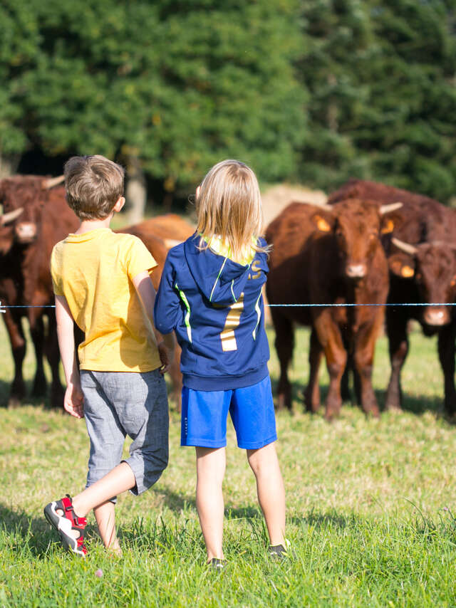GAEC Salers et Bol d'Air