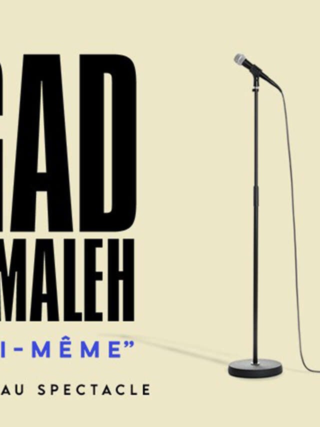 Gad Elmaleh : Lui même