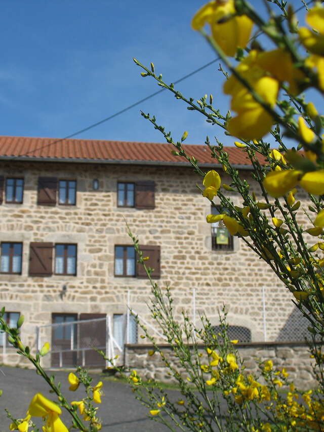 Gîte les Jonquilles