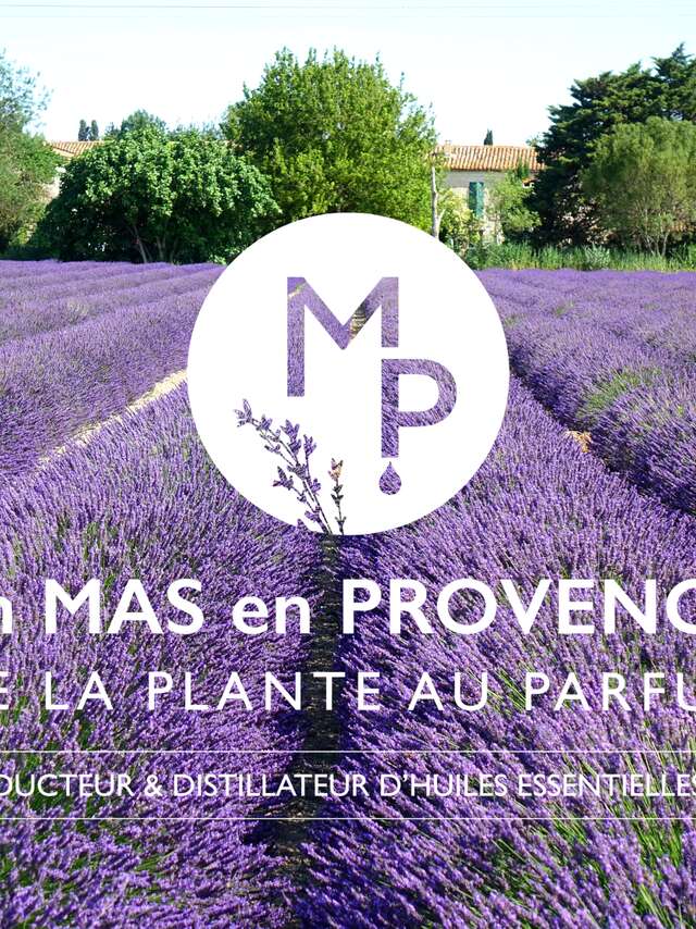 Un Mas en Provence