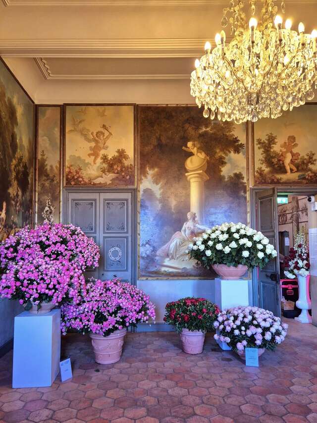 Expo Rose - 54e édition