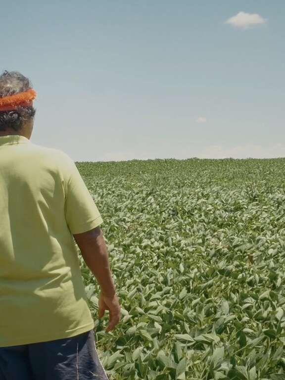 Proyección y encuentro - De la guerra fría a la guerra verde