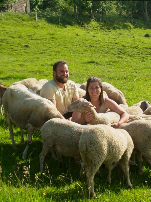La Bergerie du vieux moulin