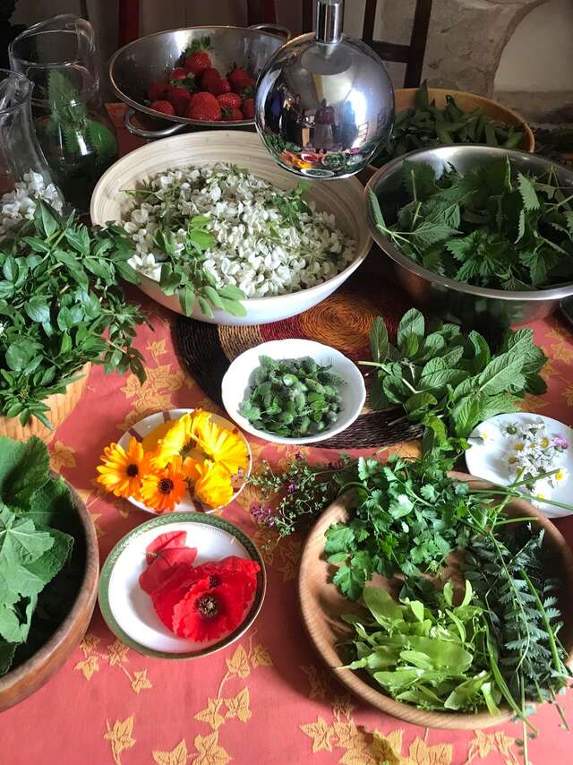 Les Aventurières du Goût - Discovering gourmet wild flowers and plants