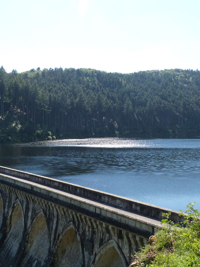 Randonnée et œnotourisme