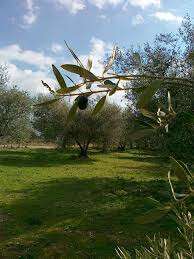 Domaine de Trestaure