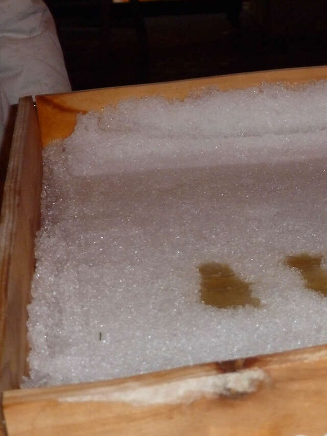 Ahorntoffee auf Schnee