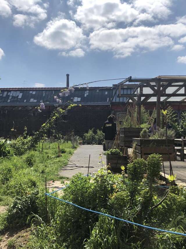 Atelier - Les Permanences de la Semeuse