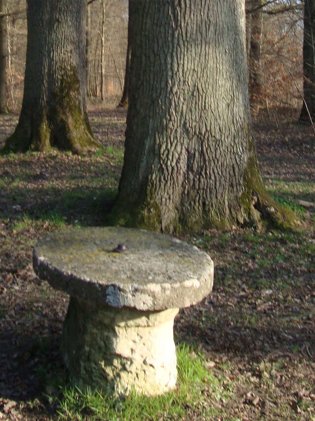 Le vallon de Chevaudeau en forêt de Marly
