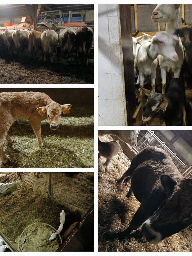 Visite du GAEC du Banc du Peyron