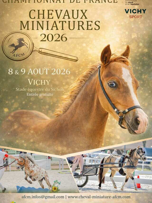 Championnat de France des Chevaux Miniatures