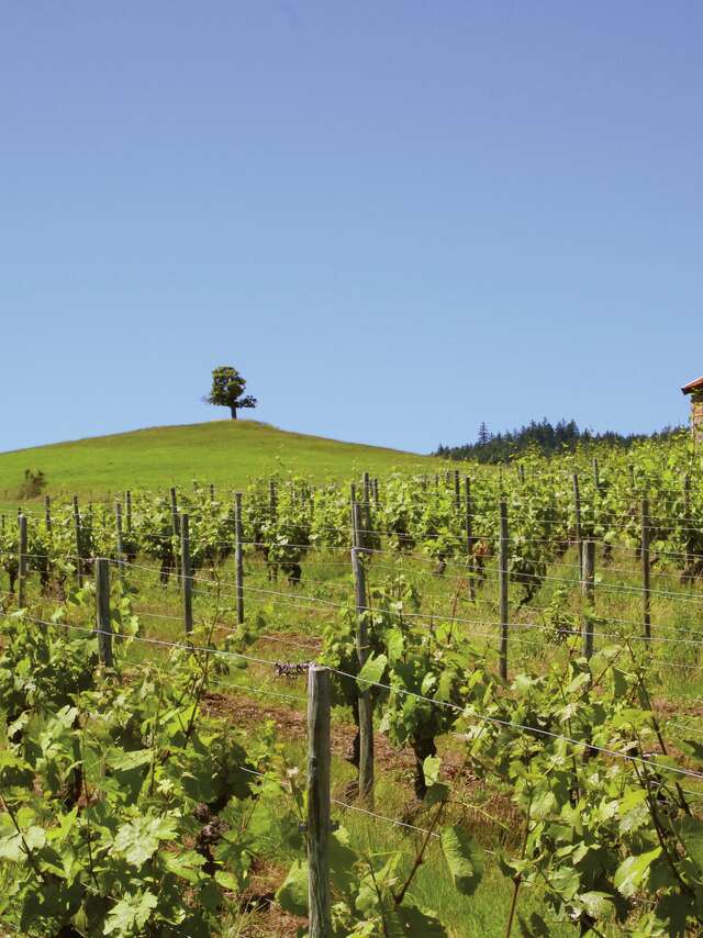 Balade La Clef des champs - Renaison