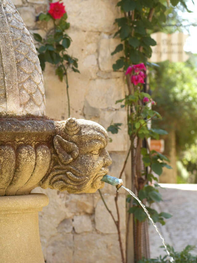 Provence by Anouchka