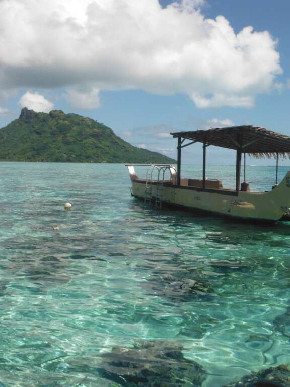 Huahine Nautique - Sortie Baleines