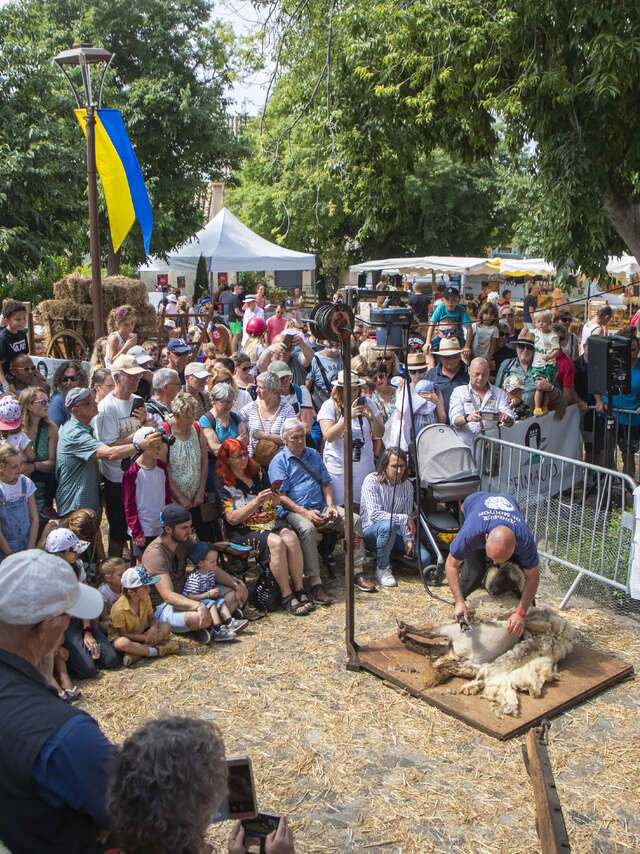 Foire de la Laine et des bergers