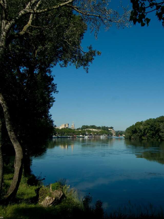 L'Île de la Barthelasse-balade à vélo-4