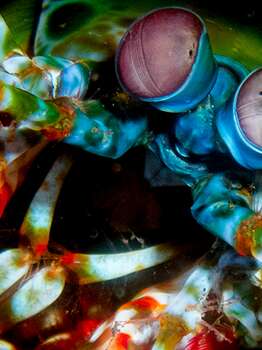Exposition - Nature championne & inspirante