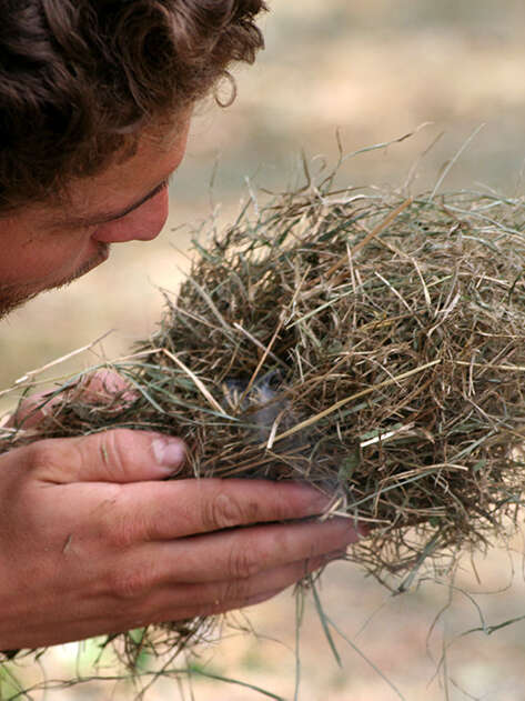 Le Temps des Savoir-Faire