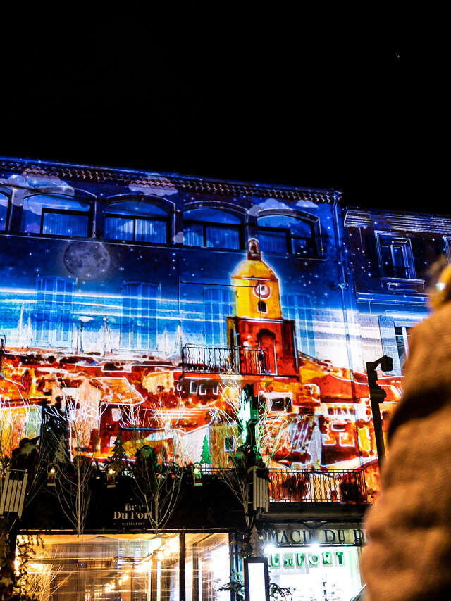 Projections son et lumière sur les façades du port