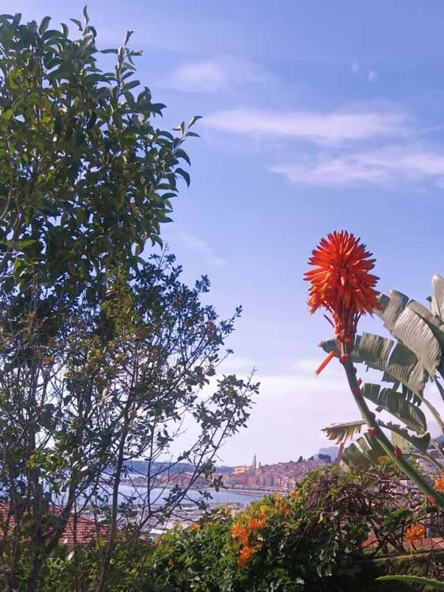 92ème Fête du Citron® - Visite guidée : Visite crépusculaire