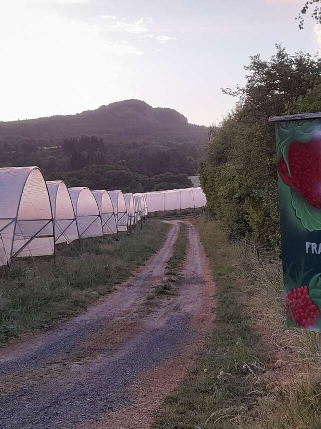 Gaec les baies du Lizieux