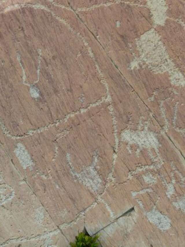 Excursion with guided tour of the rock engravings in the Merveilles and Fontanalba valleys, motorized approach, Luc Fioretti