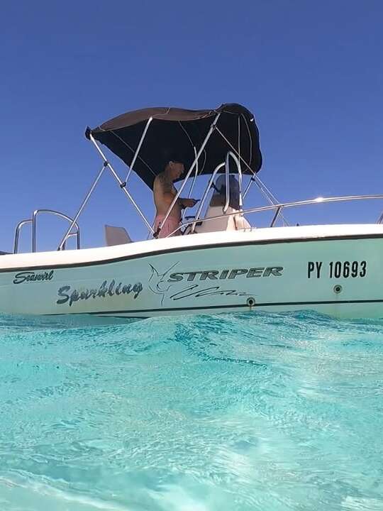Aimeho fa'ati - Private boat tours - Sortie baleines