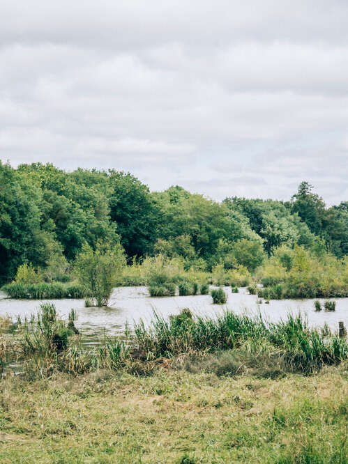 Marais de Montreuil-Juigné