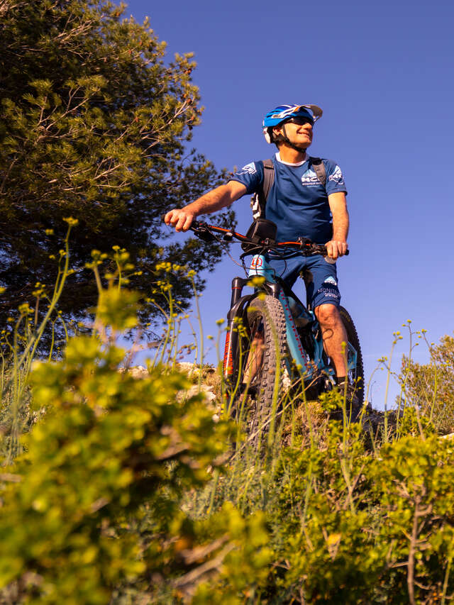 Provence Bike Tour