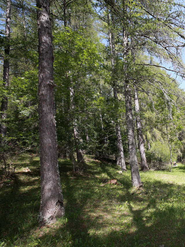 Aire de pique-nique de Notre-Dame de Bois vert