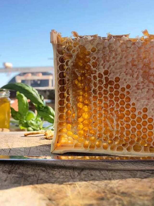 Führung mit Erläuterungen – La Ciotat Gourmande