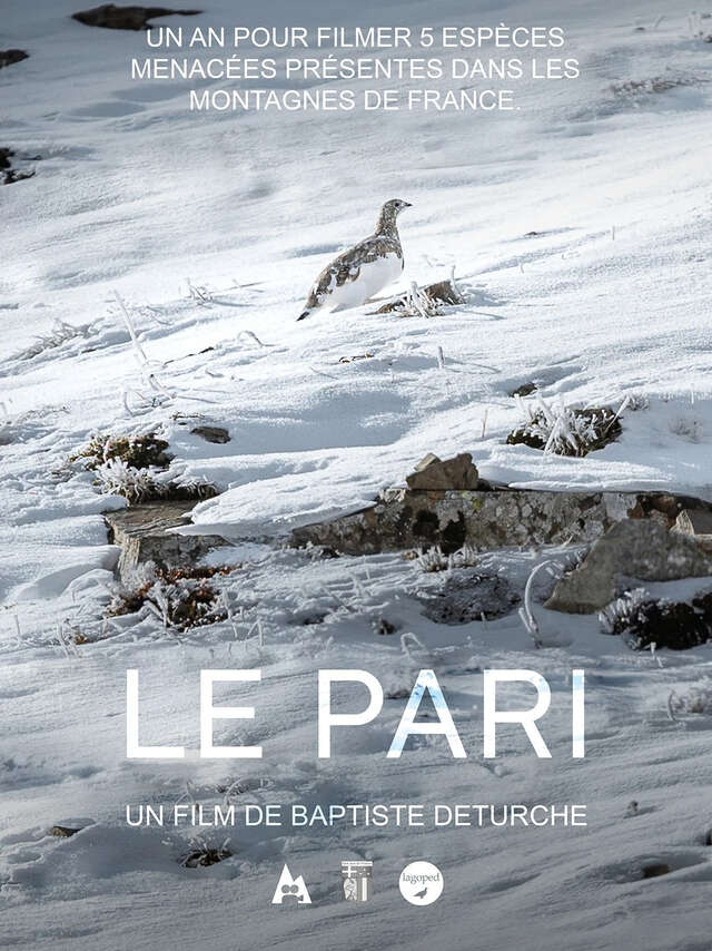 Le Pari