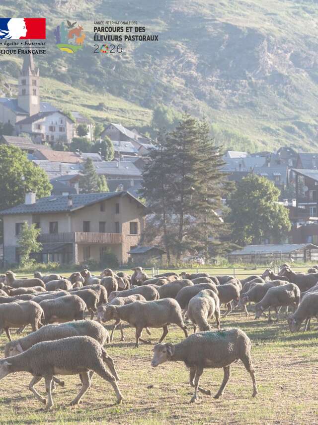 Soirée pastorale à Aiguilles