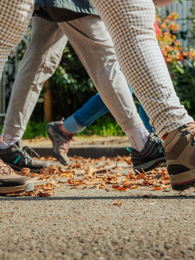 Les bases de la randonnée : votre formation pour marcher en toute tranquillité