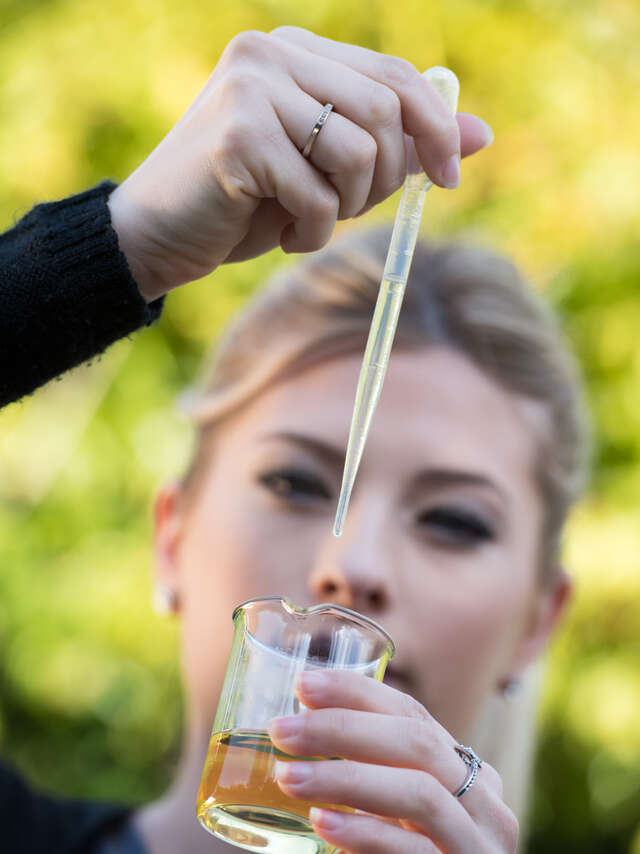 Domaine de la Dame: Visit, Rose Centifolia picking and mini perfume workshop