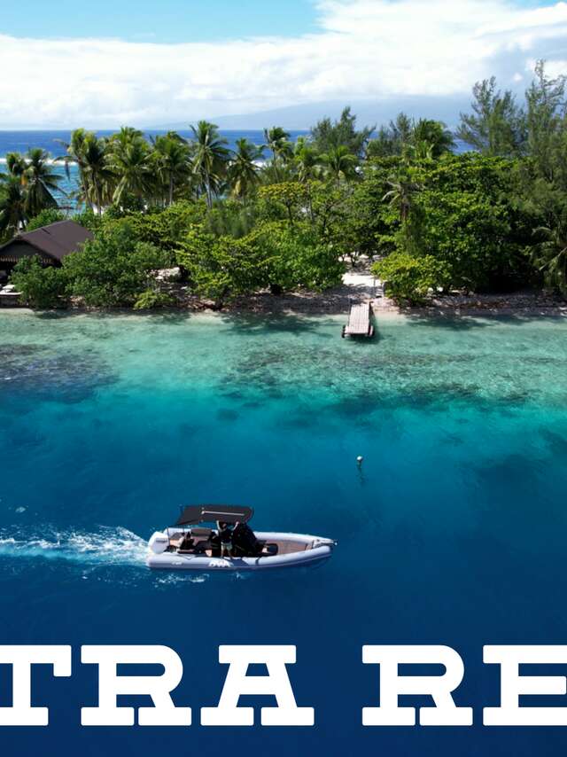 Ultra Reef