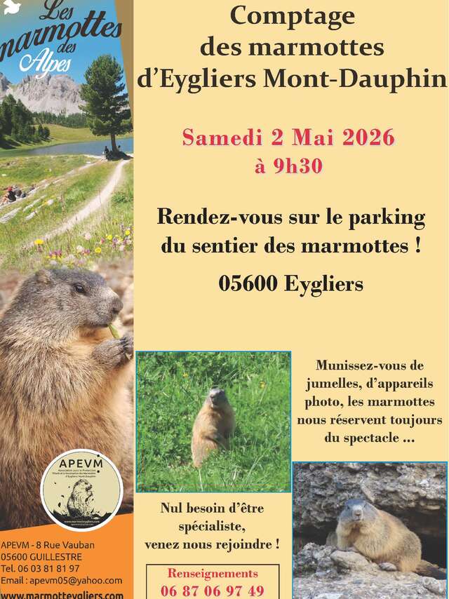 Eygliers Mont-Dauphin marmot count