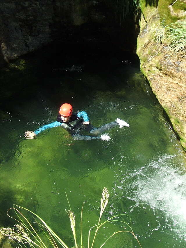 Balade aquatique: Back to the tree