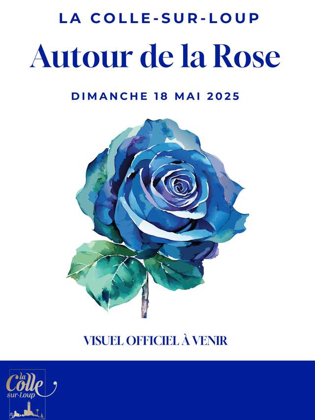 Autour de la Rose